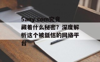 5any com究竟藏着什么秘密？深度解析这个被低估的网络平台