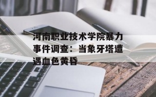 河南职业技术学院暴力事件调查：当象牙塔遭遇血色黄昏