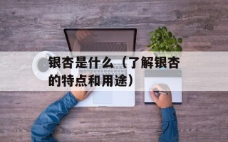 银杏是什么（了解银杏的特点和用途）