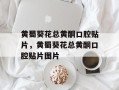 黄蜀葵花总黄酮口腔贴片，黄蜀葵花总黄酮口腔贴片图片