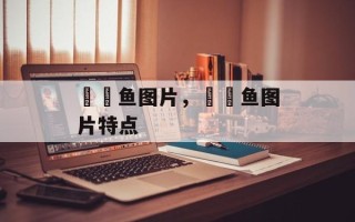 鳑鲏鱼图片，鳑鲏鱼图片特点