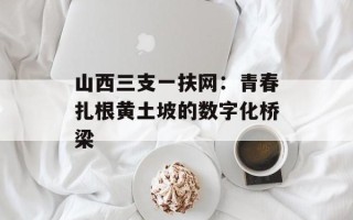 山西三支一扶网：青春扎根黄土坡的数字化桥梁