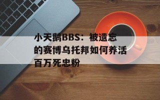小天鹅BBS：被遗忘的赛博乌托邦如何养活百万死忠粉