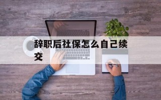 辞职后社保怎么自己续交