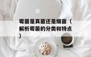 霉菌是真菌还是细菌（解析霉菌的分类和特点）