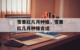 雪里红几月种植，雪里红几月种植合适