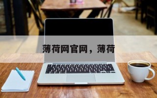 薄荷网官网，薄荷