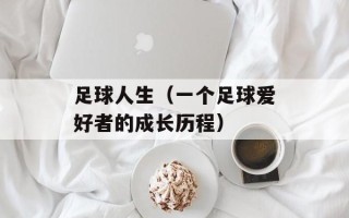 足球人生（一个足球爱好者的成长历程）