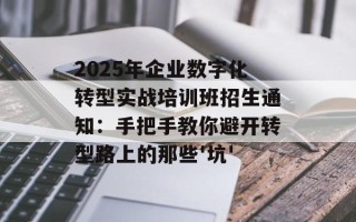 2025年企业数字化转型实战培训班招生通知：手把手教你避开转型路上的那些'坑'
