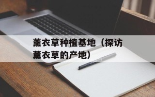 薰衣草种植基地（探访薰衣草的产地）