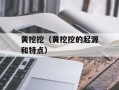 黄挖挖（黄挖挖的起源和特点）