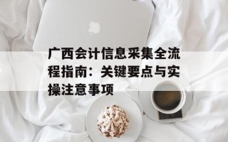 广西会计信息采集全流程指南：关键要点与实操注意事项