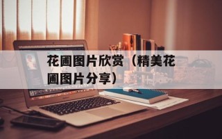 花圃图片欣赏（精美花圃图片分享）