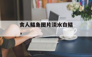 食人鲳鱼图片淡水白鲳，