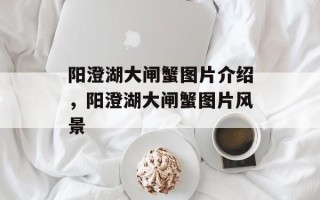 阳澄湖大闸蟹图片介绍，阳澄湖大闸蟹图片风景