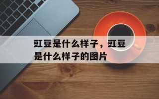 豇豆是什么样子，豇豆是什么样子的图片