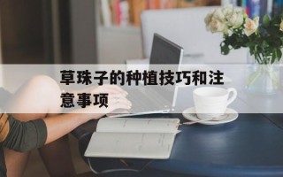 草珠子的种植技巧和注意事项