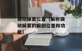 颈动脉窦位置（解析颈动脉窦的解剖位置和功能）