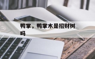 鸭掌，鸭掌木是招财树吗
