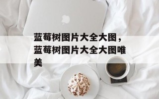 蓝莓树图片大全大图，蓝莓树图片大全大图唯美