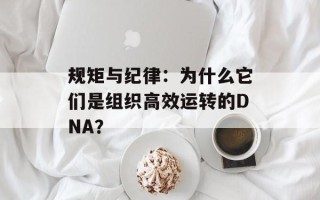 规矩与纪律：为什么它们是组织高效运转的DNA？