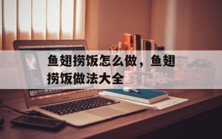 鱼翅捞饭怎么做，鱼翅捞饭做法大全