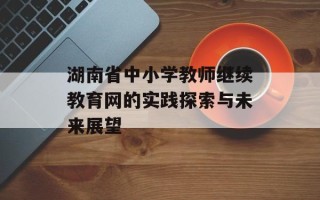 湖南省中小学教师继续教育网的实践探索与未来展望