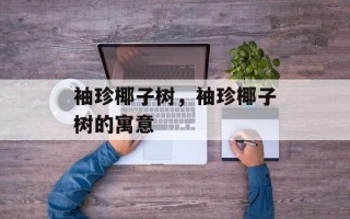 袖珍椰子树，袖珍椰子树的寓意
