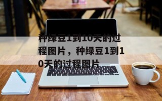 种绿豆1到10天的过程图片，种绿豆1到10天的过程图片