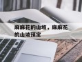 麻麻花的山坡，麻麻花的山坡预定
