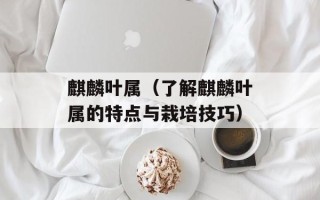 麒麟叶属（了解麒麟叶属的特点与栽培技巧）
