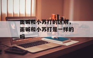 面碱和小苏打的区别，面碱和小苏打是一样的吗