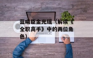 蓝曦臣金光瑶（解读《全职高手》中的两位角色）