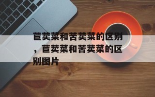 苣荬菜和苦荬菜的区别，苣荬菜和苦荬菜的区别图片