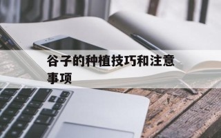 谷子的种植技巧和注意事项