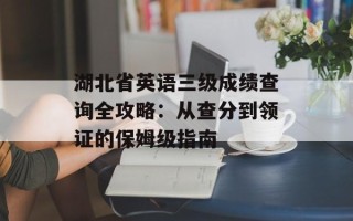 湖北省英语三级成绩查询全攻略：从查分到领证的保姆级指南