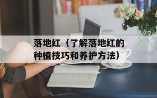 落地红（了解落地红的种植技巧和养护方法）