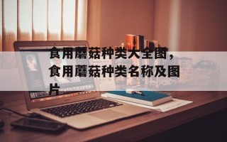 食用蘑菇种类大全图，食用蘑菇种类名称及图片