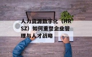 人力资源数字化（HRSZ）如何重塑企业管理与人才战略