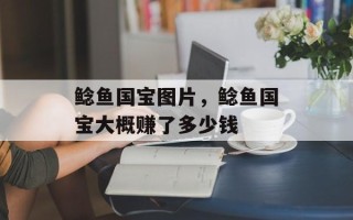 鲶鱼国宝图片，鲶鱼国宝大概赚了多少钱