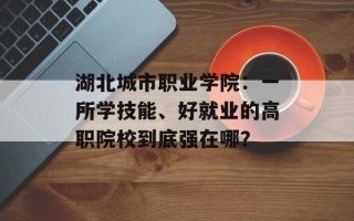 湖北城市职业学院：一所学技能、好就业的高职院校到底强在哪？