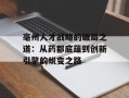 亳州人才战略的破局之道：从药都底蕴到创新引擎的蜕变之路
