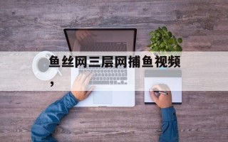 鱼丝网三层网捕鱼视频，