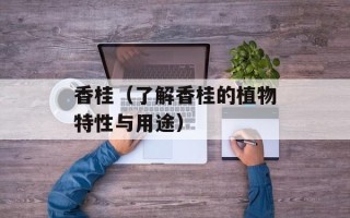 香桂（了解香桂的植物特性与用途）