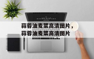 蒜蓉油麦菜高清图片，蒜蓉油麦菜高清图片