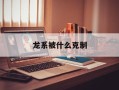 龙系被什么克制