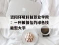 资阳环境科技职业学院：一所被低估的绿色技能型大学