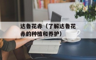 达鲁花赤（了解达鲁花赤的种植和养护）