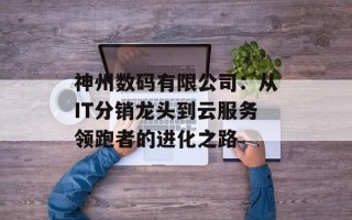 神州数码有限公司：从IT分销龙头到云服务领跑者的进化之路
