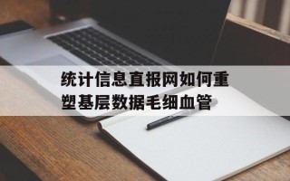 统计信息直报网如何重塑基层数据毛细血管